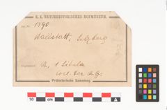 Etikett zu Bronzesitula (NHMW-PRAE-001390)